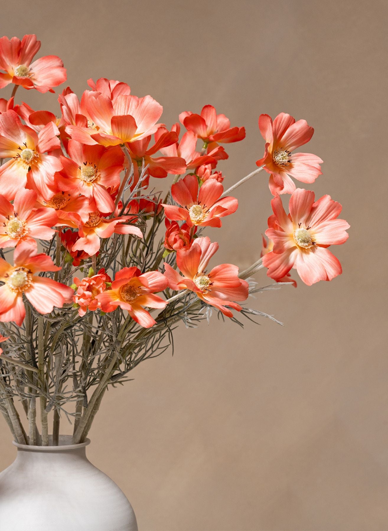 Fleurs de Marguerite - Vieux rose (10 tiges)