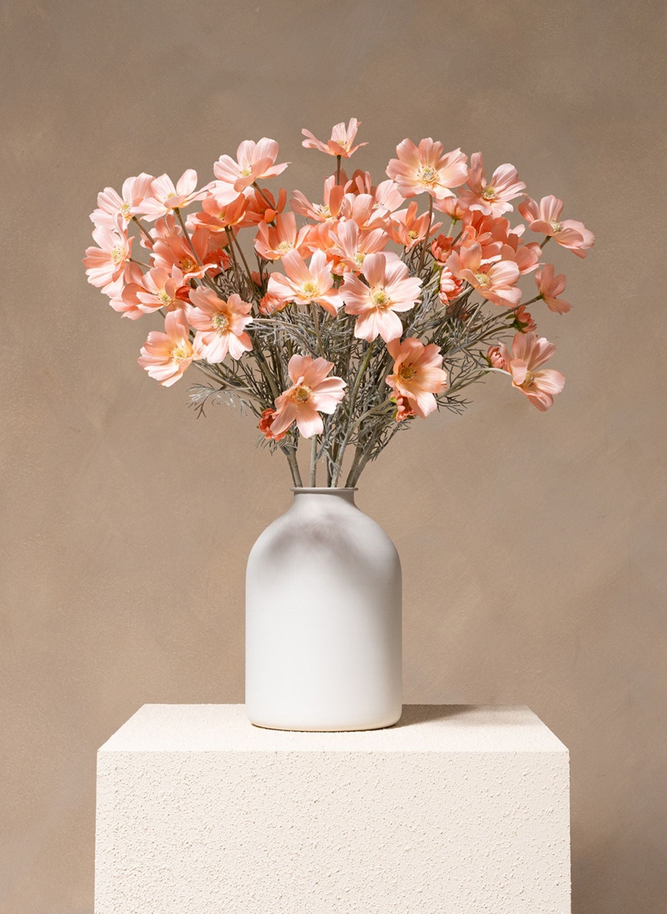 Fleurs de Marguerite - Pêche (10 tiges)