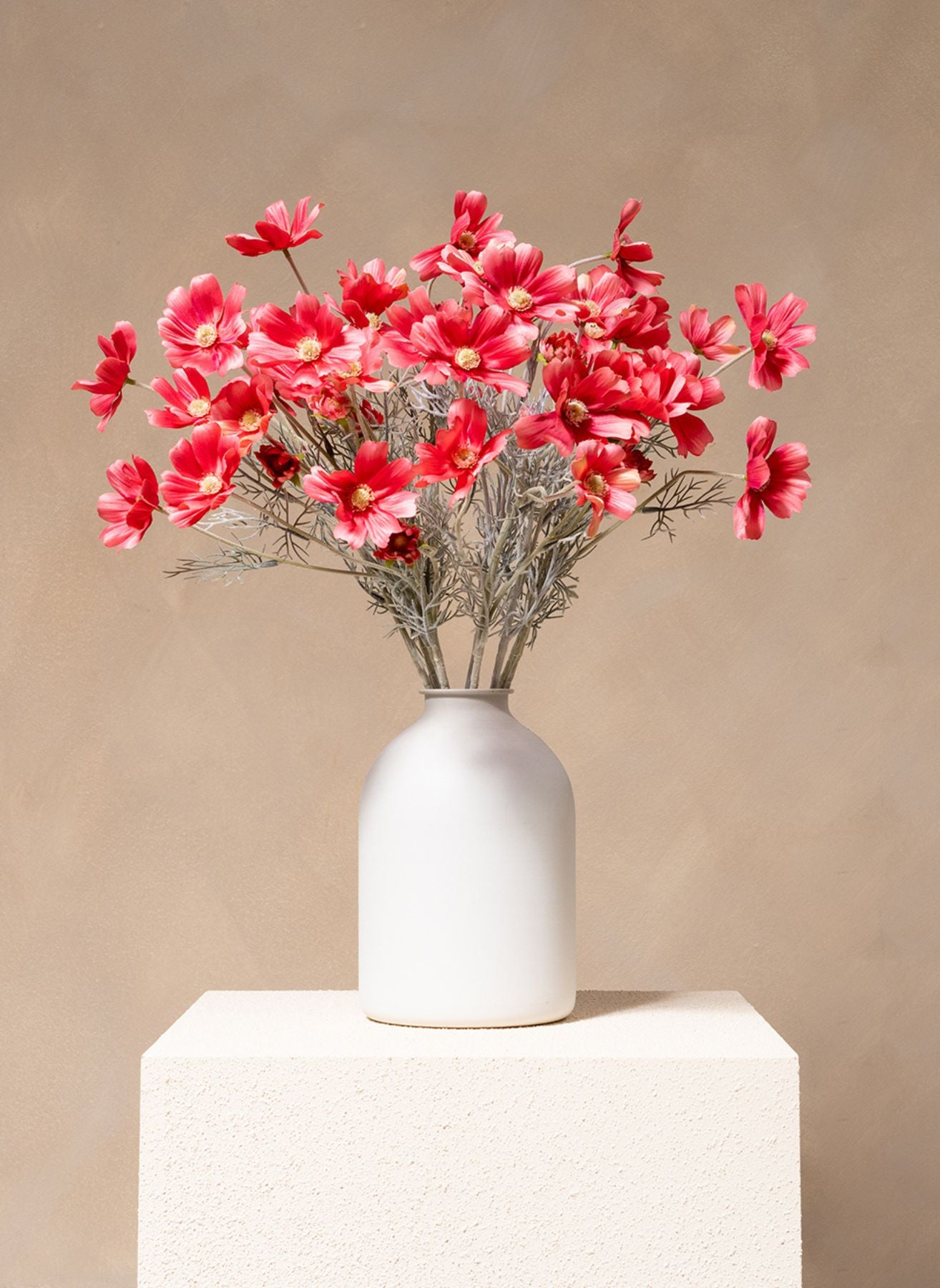 Fleurs de Marguerite - Fuchsia rose (10 tiges)