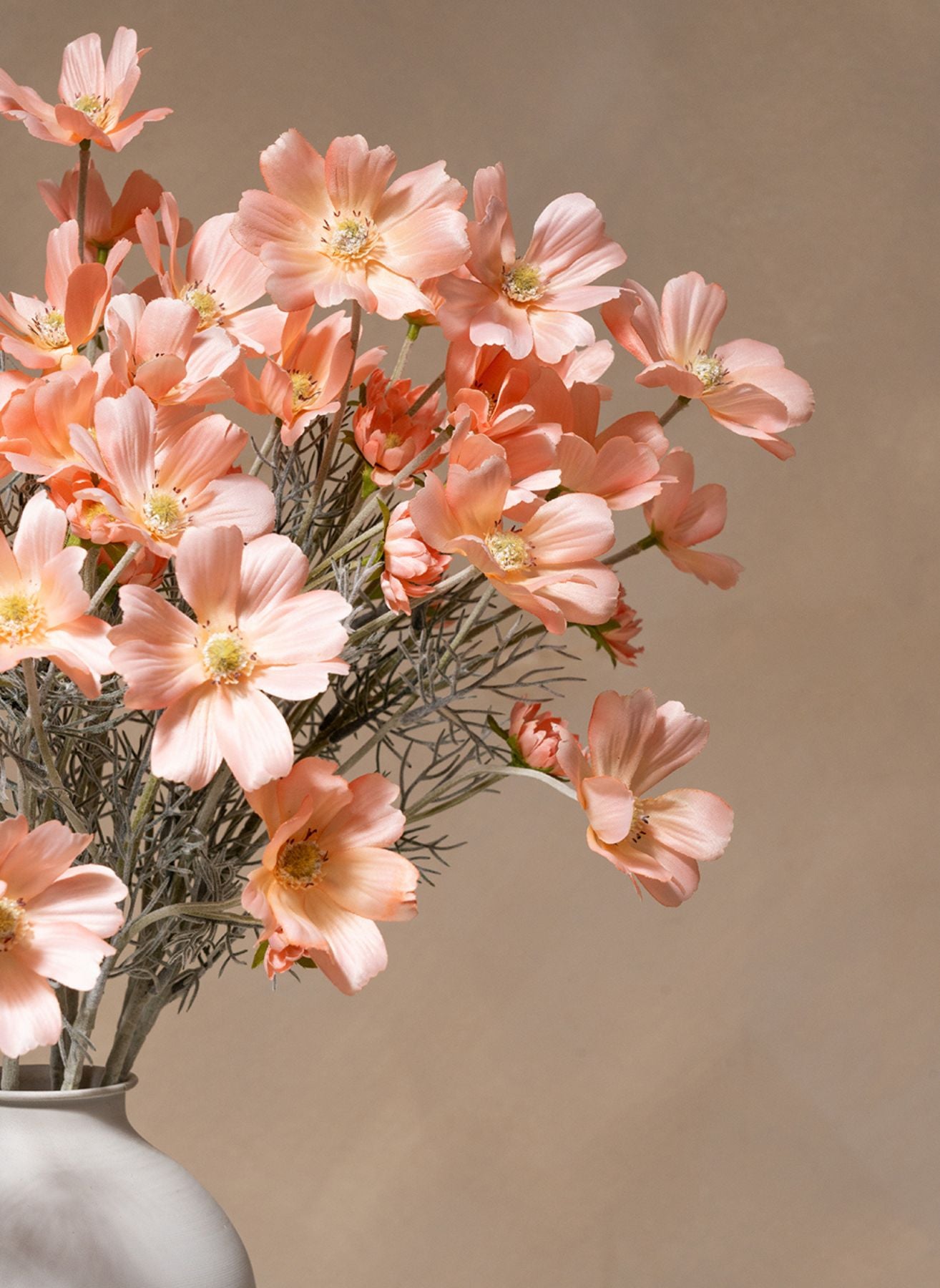 Fleurs de Marguerite - Pêche (10 tiges)