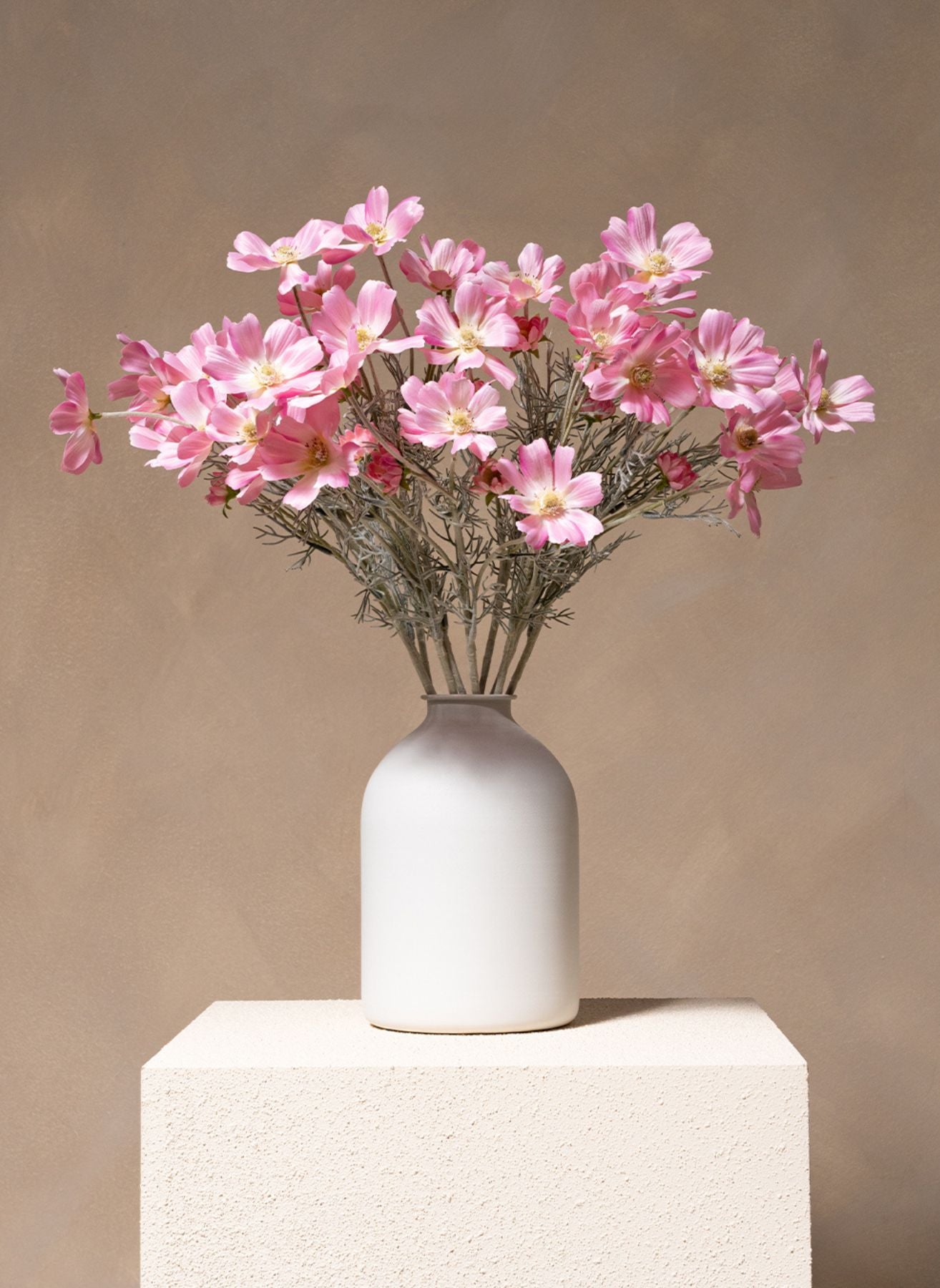 Fleurs de Marguerite - Rose (10 tiges)