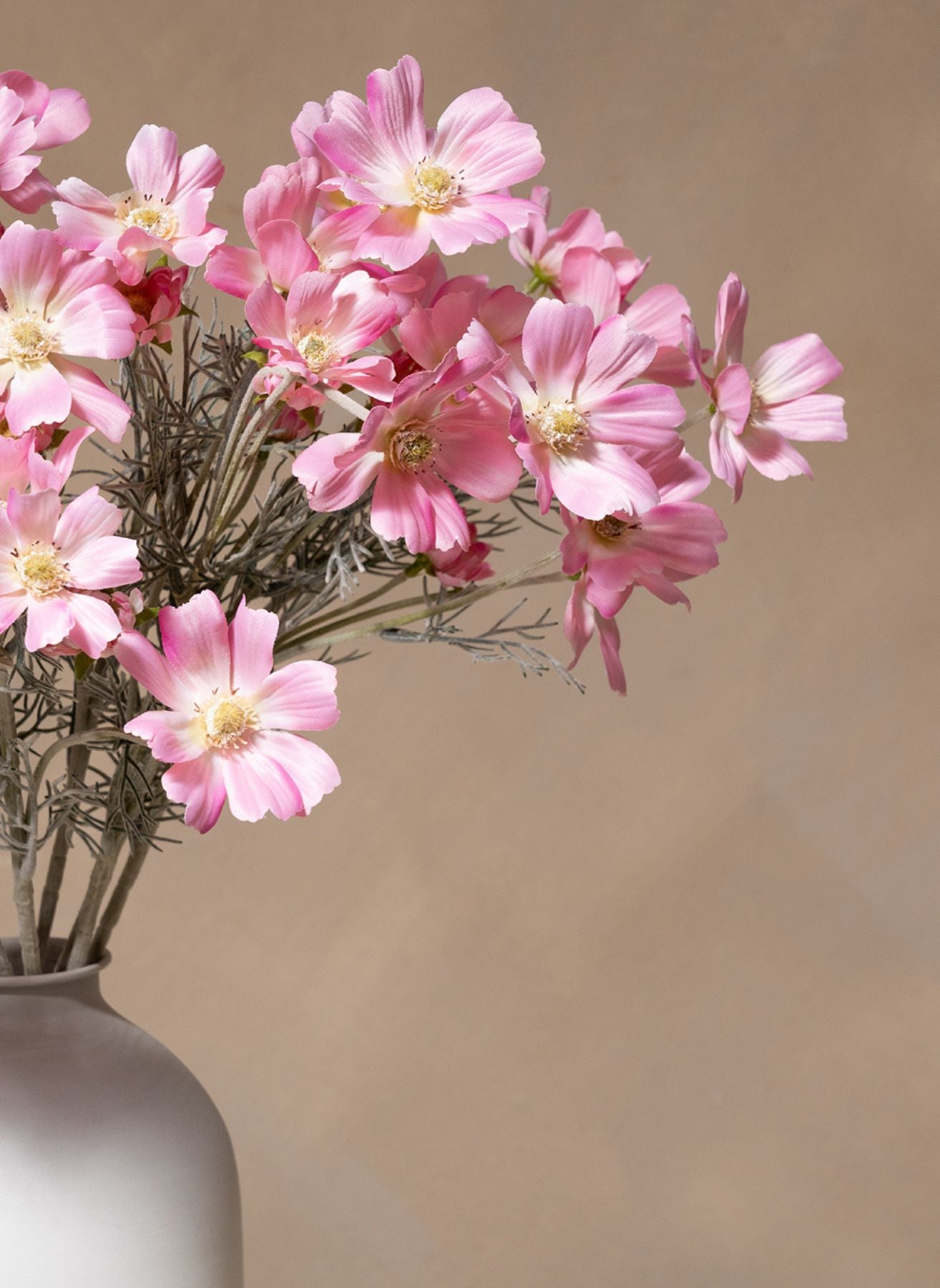 Fleurs de Marguerite - Rose (10 tiges)