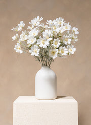 Fleurs de Marguerite - Blanc (10 tiges)