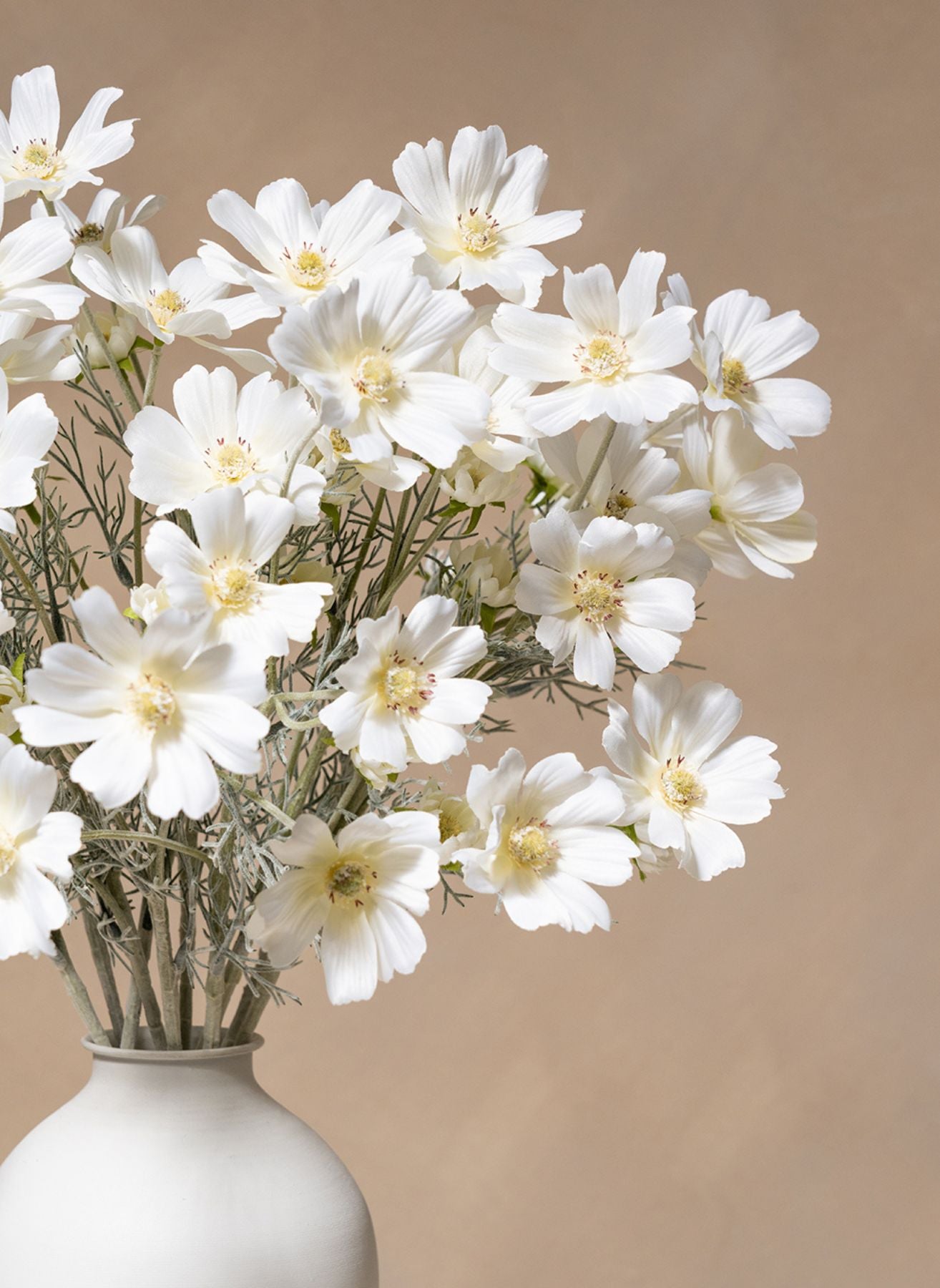 Fleurs de Marguerite - Blanc (10 tiges)