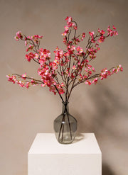 Fleur de Cerisier - Fuchsia rose (3 tiges)