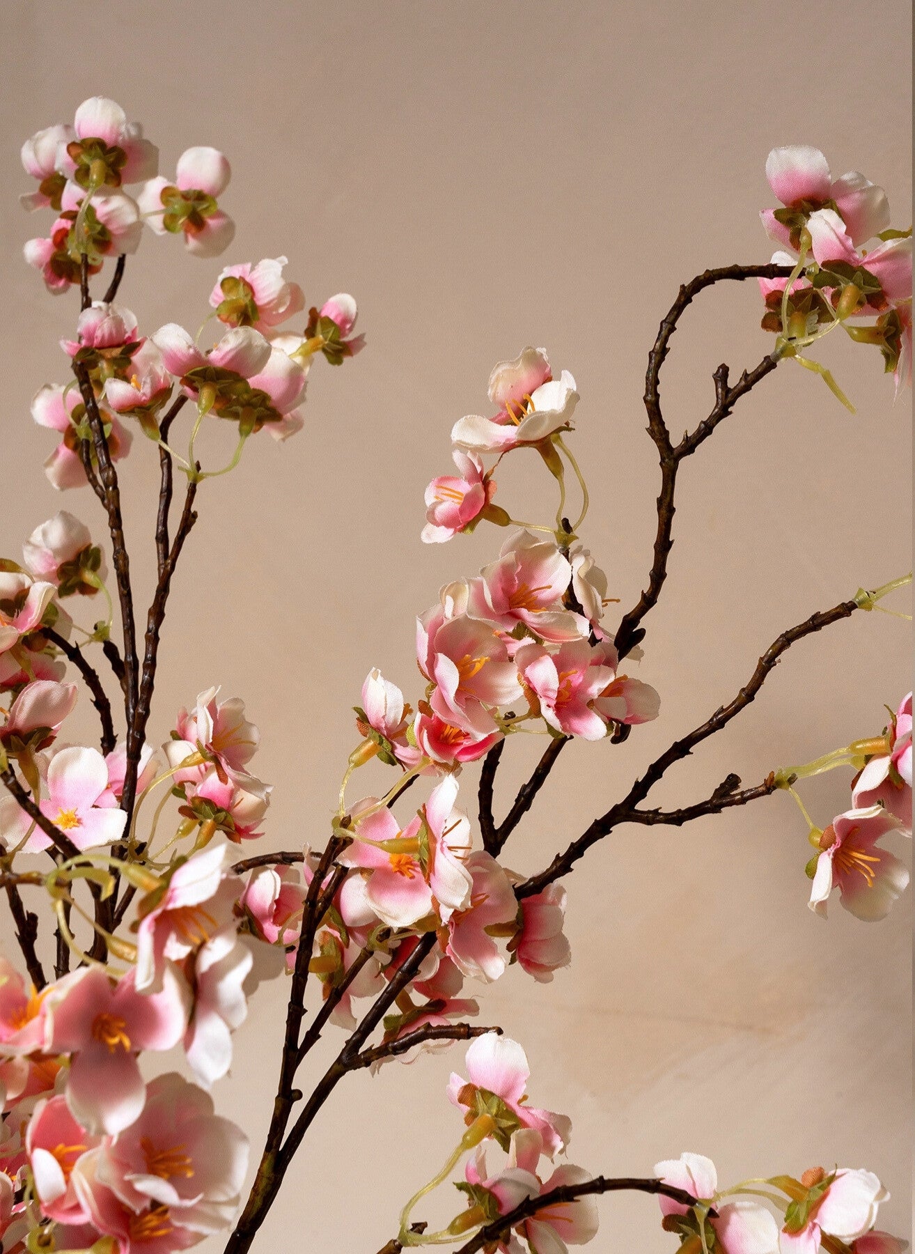 Fleur de Cerisier - Vieux rose (3 tiges)