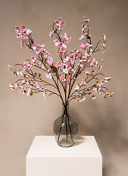 Fleur de Cerisier - Rose (3 tiges)