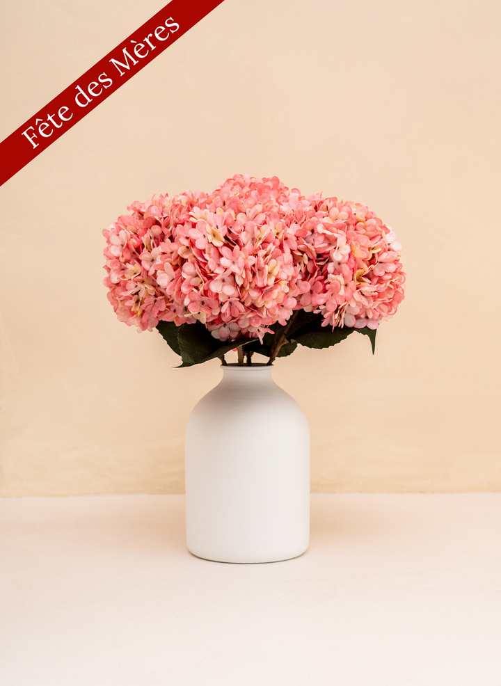 Grande Hortensia (5 tiges) - Rose