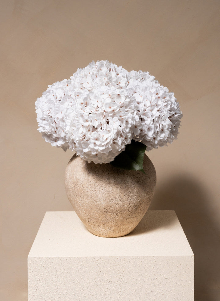 Grande Hortensia (5 tiges) - Blanc