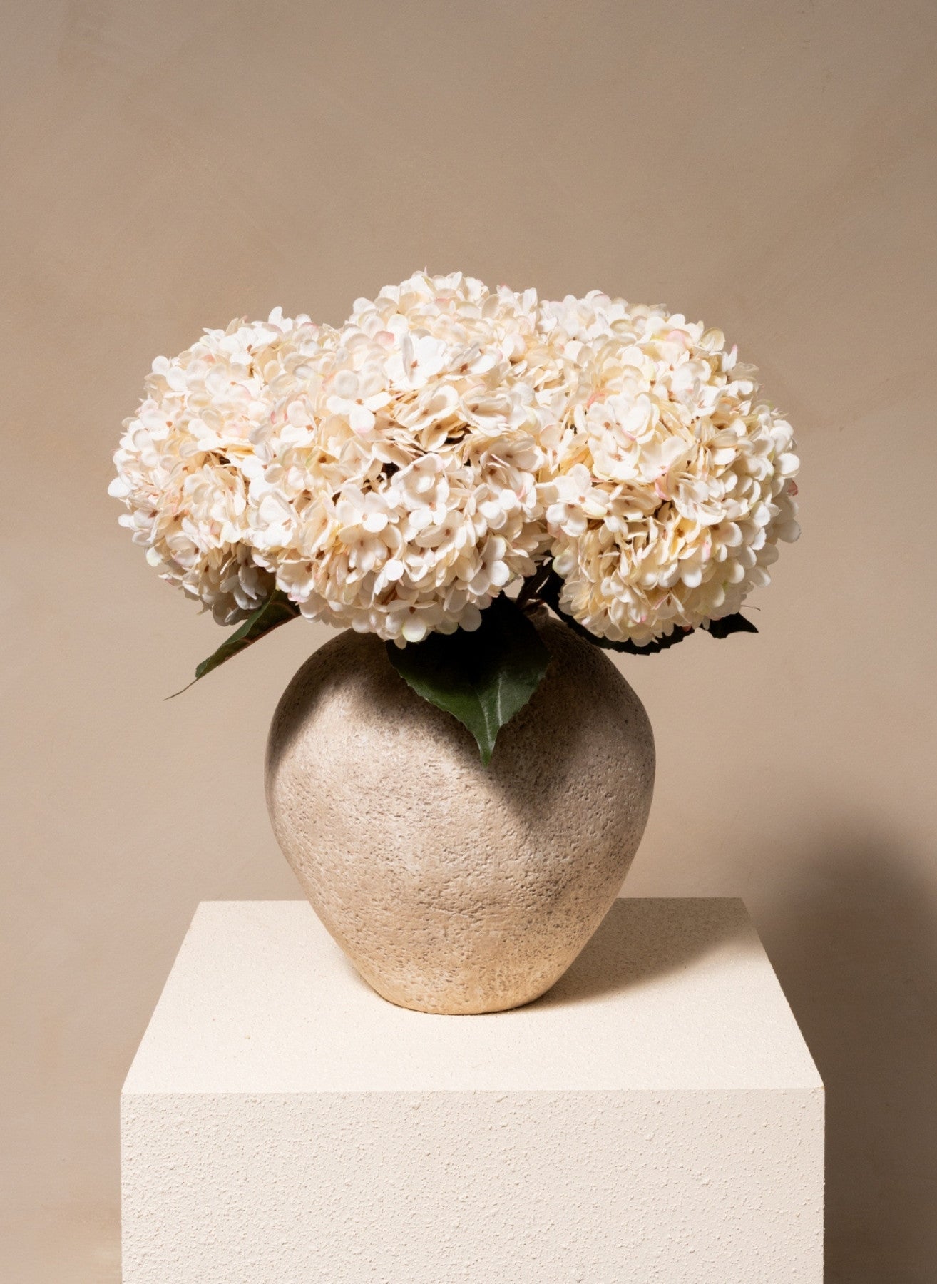 Grande Hortensia (5 tiges) - Crème