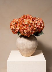 Grande Hortensia (5 tiges) - Orange