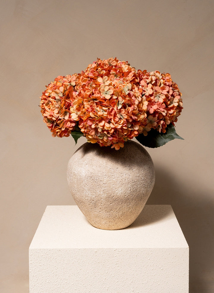 Grande Hortensia (5 tiges) - Orange