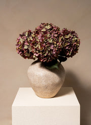Grande Hortensia (5 tiges) - Mauve