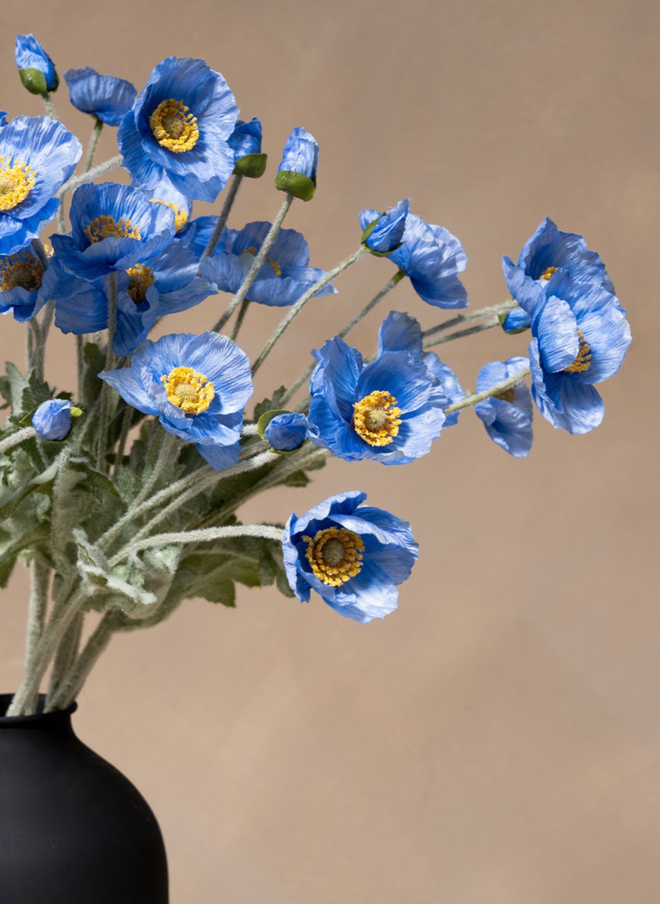 Coquelicots - Bleu (10 tiges)