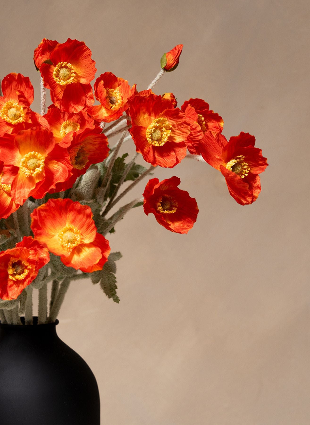Coquelicots - Orange (10 tiges)