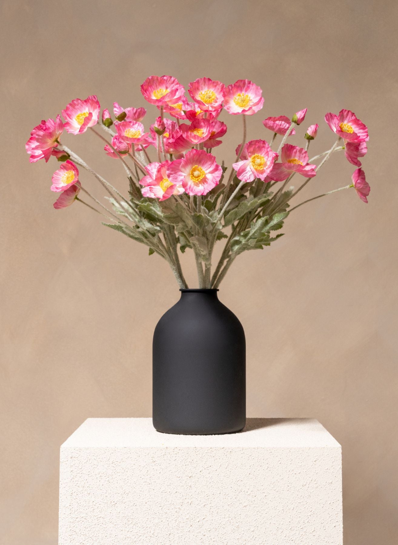 Coquelicots - Rose (10 tiges)