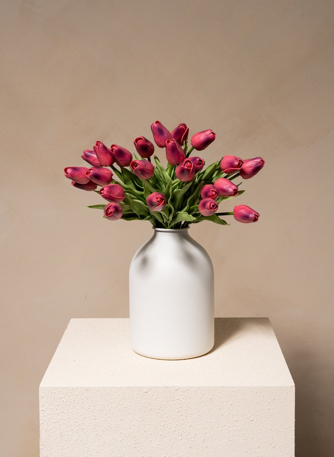 Tulipes - Mauve (25 Tiges)