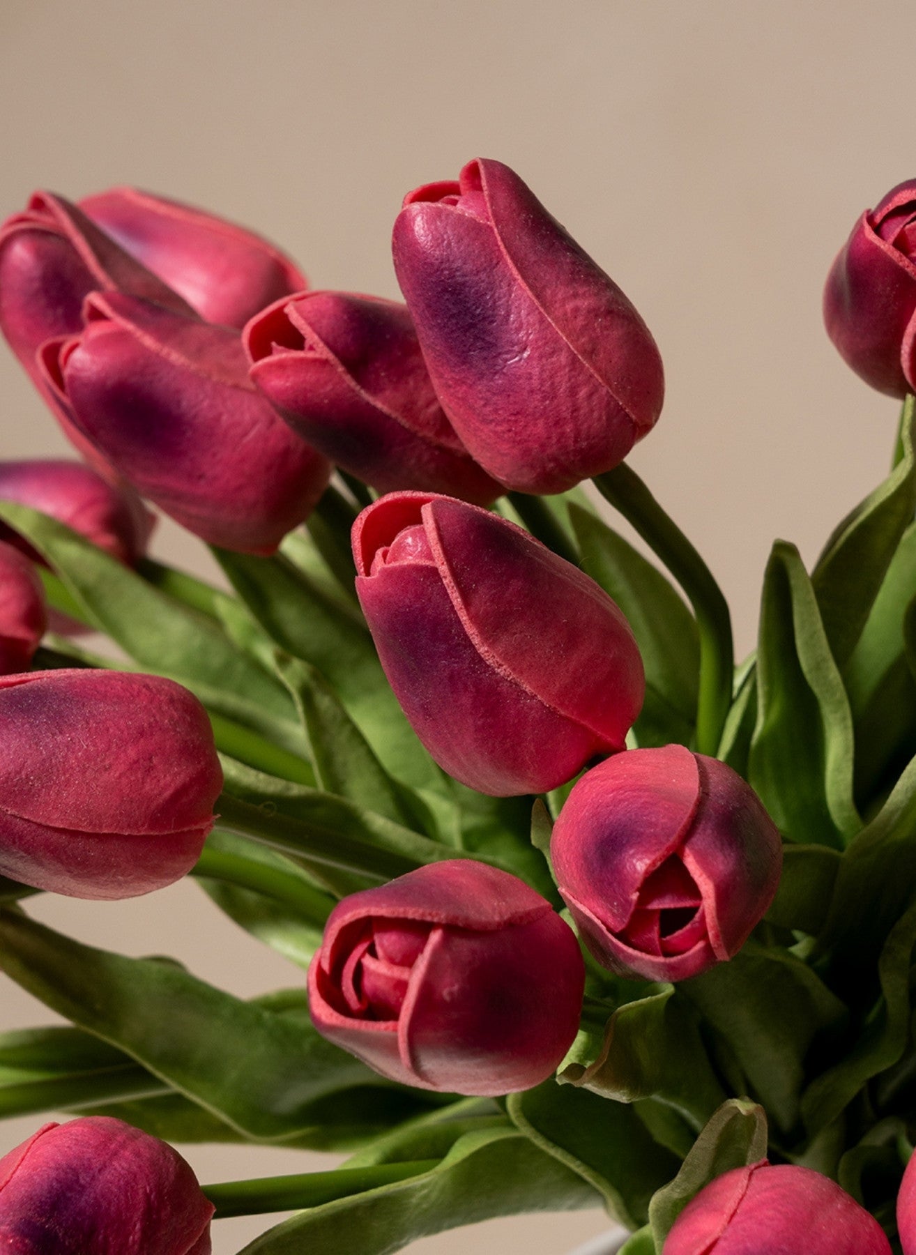 Tulipes - Mauve (25 Tiges)
