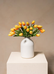 Tulipes - Pêche (25 Tiges)