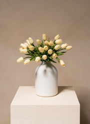 Tulipes - Blanc (25 Tiges)