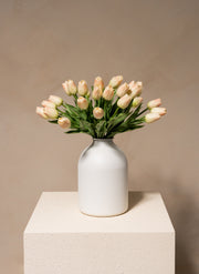 Tulipes - Vieux rose