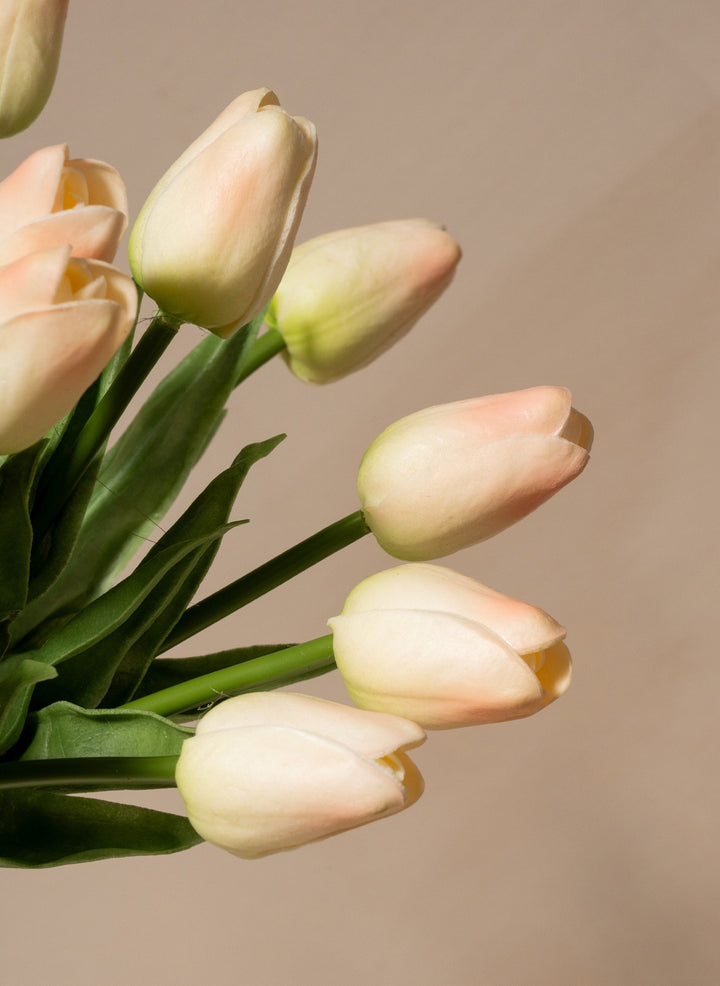 Tulipes - Vieux rose