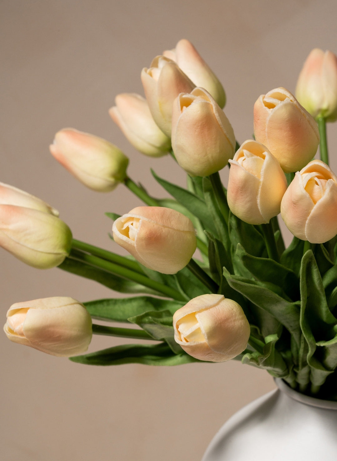 Tulipes - Vieux rose