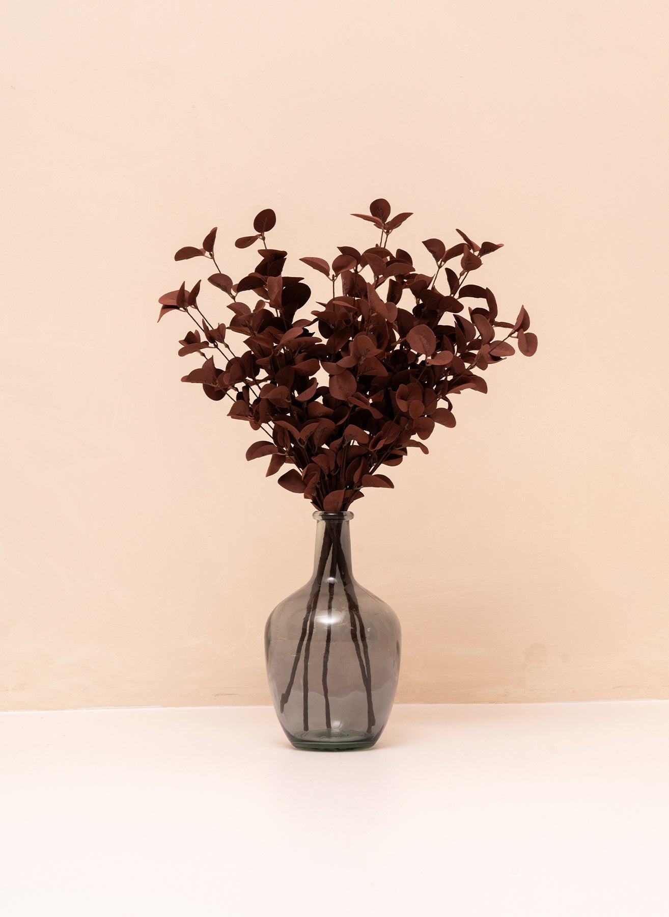 Eucalyptus - Brun (5 tiges)