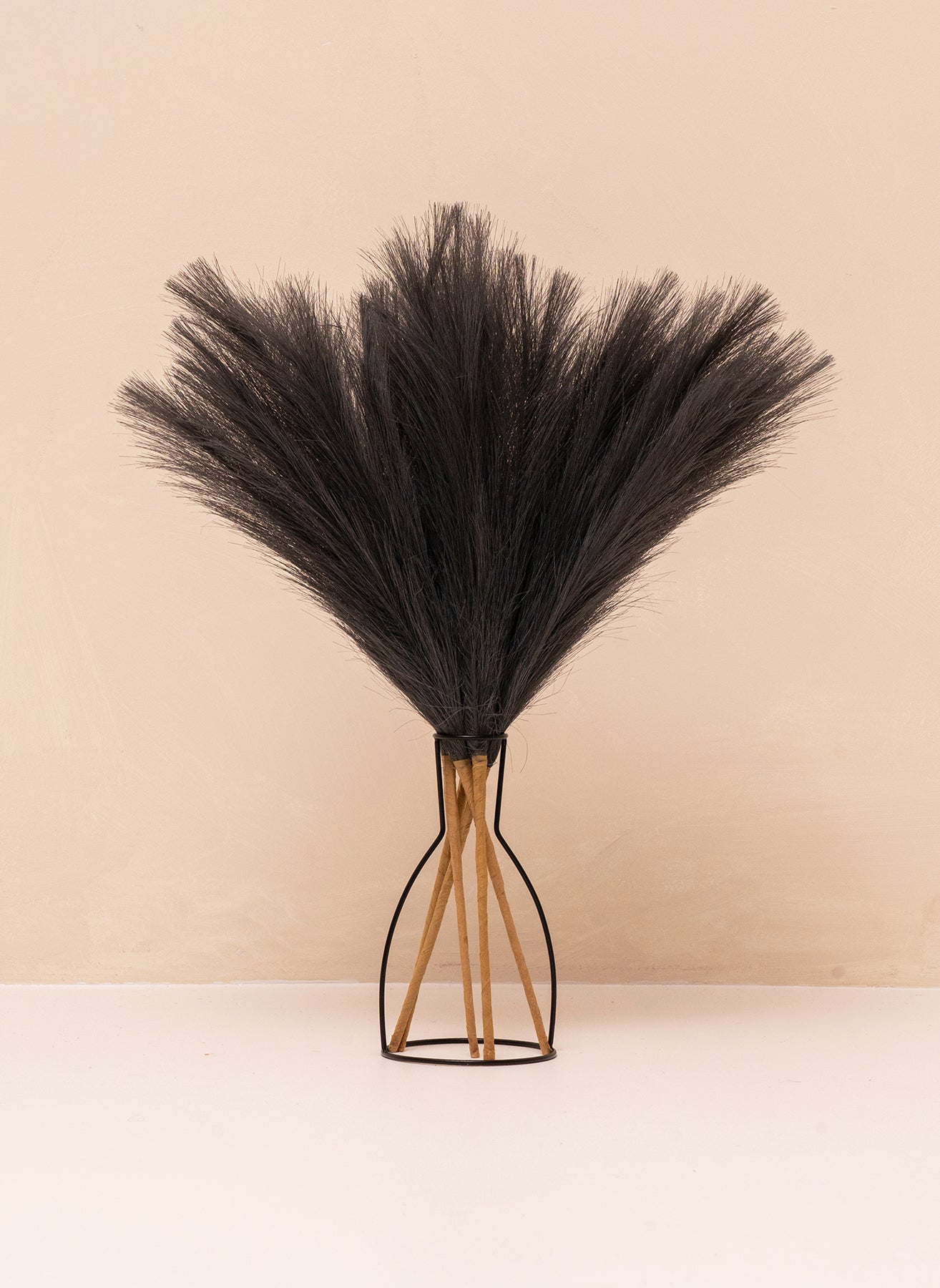 Pampas 60cm (5 tiges) - Gris foncé