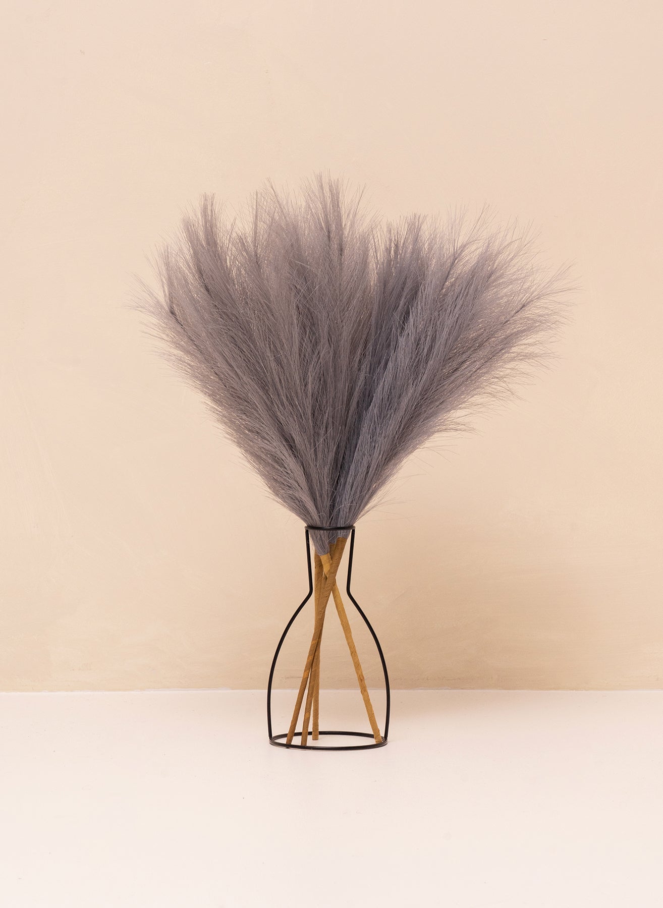 Pampas 60cm (5 tiges) - Gris