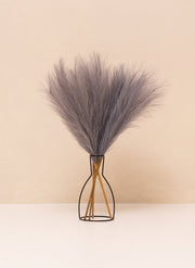 Pampas 60cm (5 tiges) - Gris